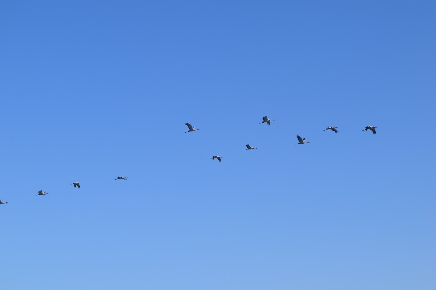 How Flyway Financial Adapts to Life’s Changes